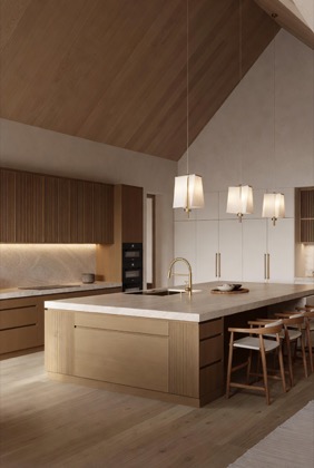 Kitchen design reference 23 — modular kitchen style direction