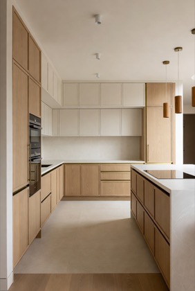 Kitchen design reference 66 — modular kitchen style direction