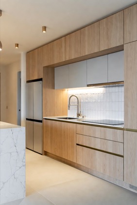 Kitchen design reference 106 — modular kitchen style direction